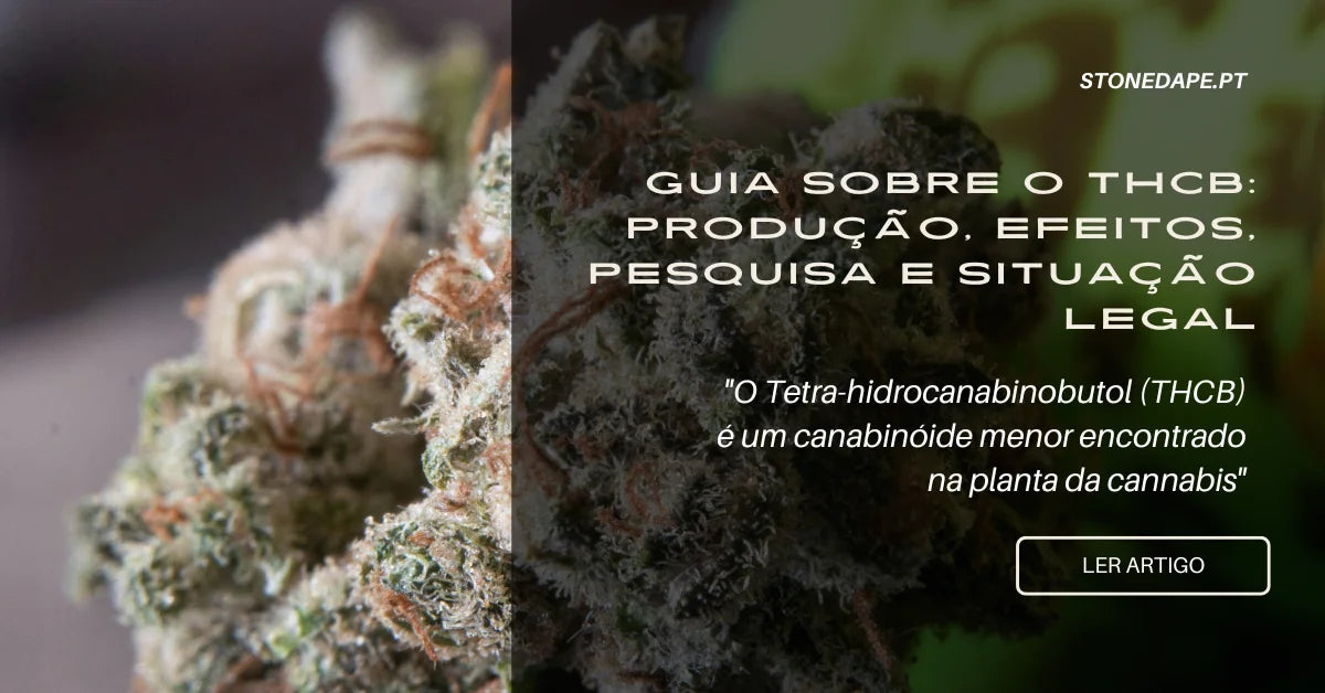 Guia sobre o THCB: Produção, Efeitos, Pesquisa e Situação Legal