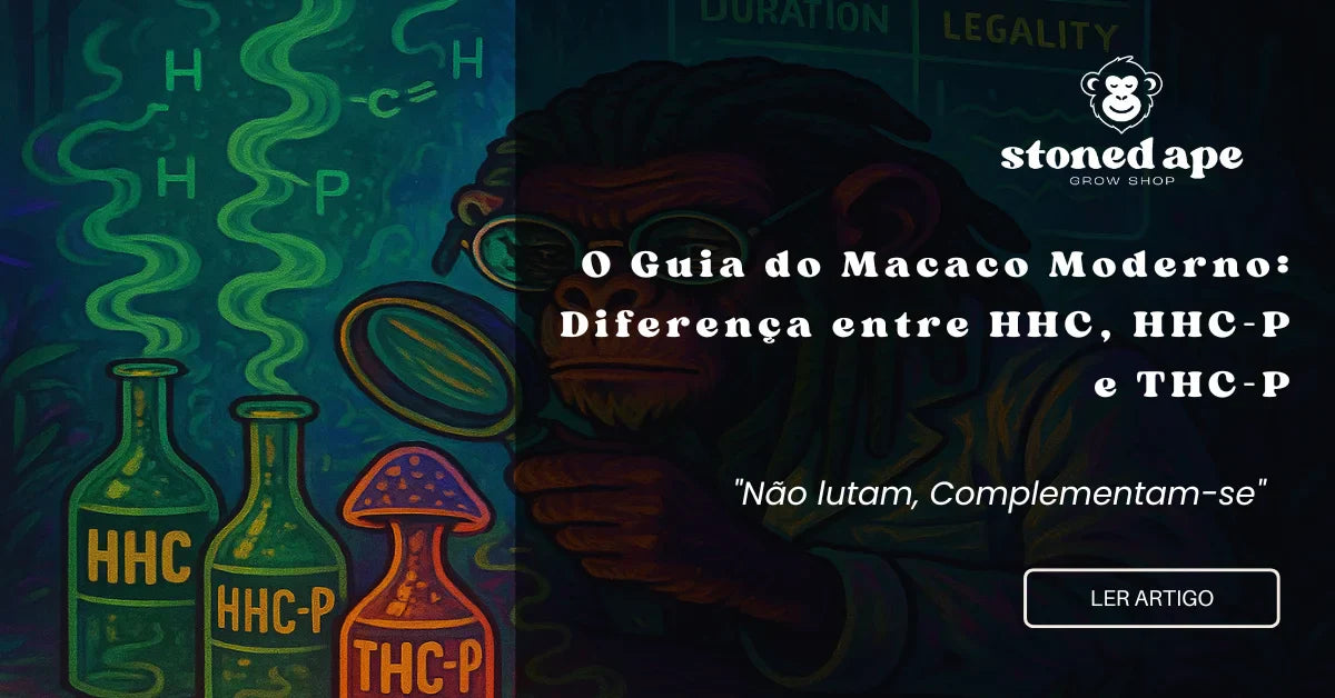O Guia do Macaco Moderno: Diferença entre HHC, HHC-P e THC-P
