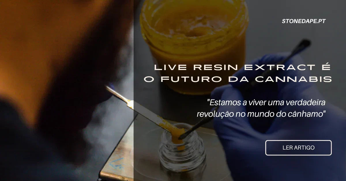 Live Resin Extract é o Futuro da Cannabis
