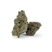 Permanent Marker - THCA Collection