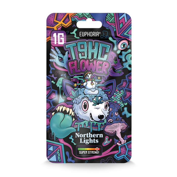 Northern Lights – T9HC Collection