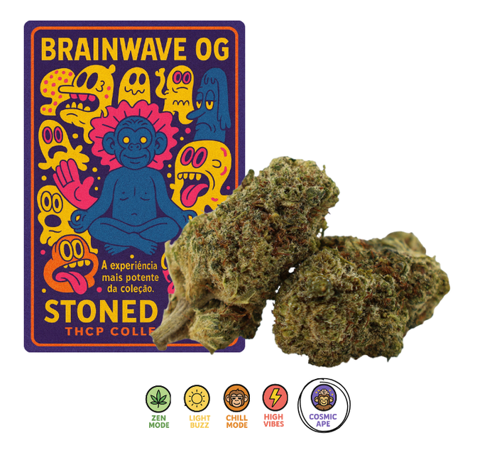BRAINWAVE OG — THCP Collection