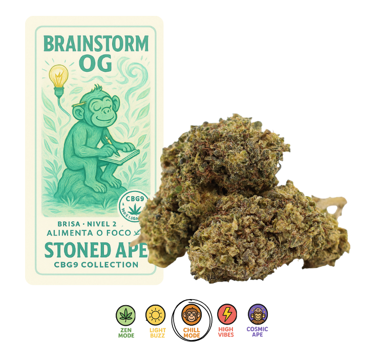Brainstorm OG – CBG9 Collection