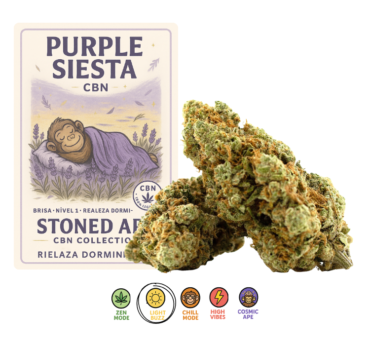 Purple Siesta – CBN Collection