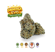Mimosa EVO - THCA Collection