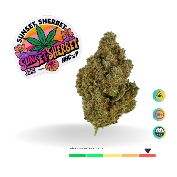 Flôr Seca Sunset Sherbet 15% HHC-P