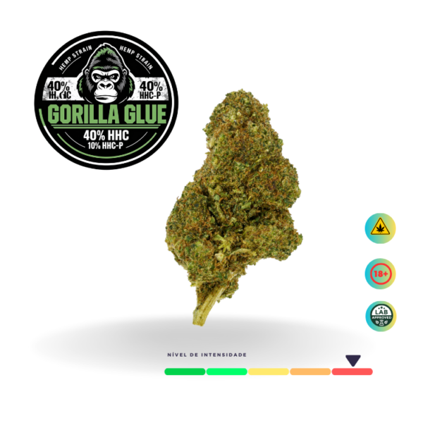 Flôr Seca Gorilla Glue 40% HHC e 10% HHC-P