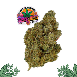 Flôr Seca Sunset Sherbet 15% HHC-P