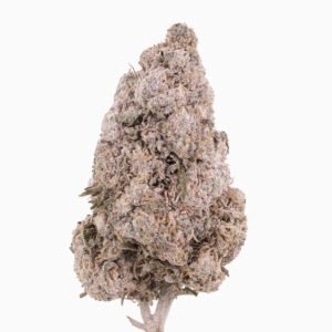Gelato 28% THCA —THCA Collection