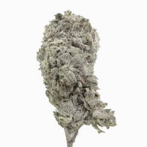 Ice Cream Cake 26% THCA — THCA Collection