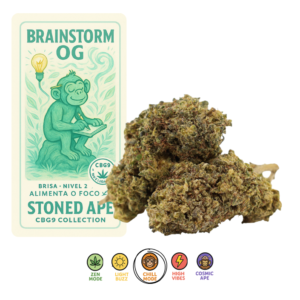 Brainstorm OG – CBG9 Collection