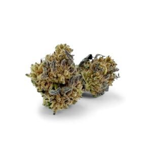 OG Kush 26% THCA — THCA Collection